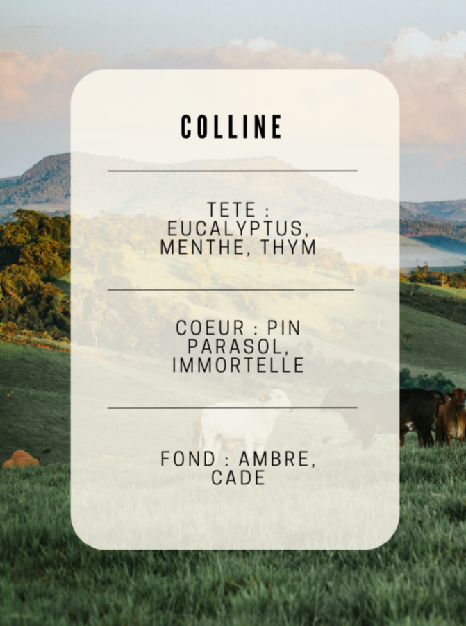 Colline